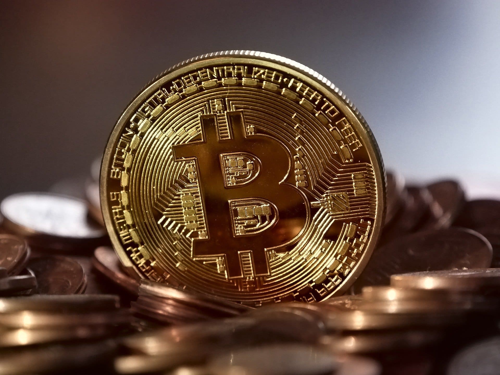 Home - Cryptocurrency 7 2 bitcoin